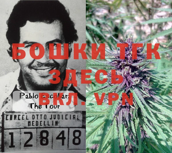 дурь Армянск
