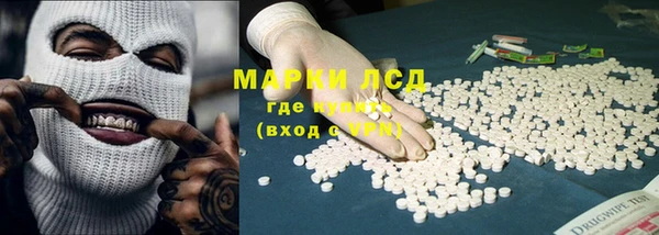 эйфоретик Баксан