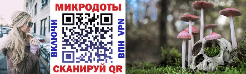 Псилоцибиновые грибы Cubensis Верхняя Салда