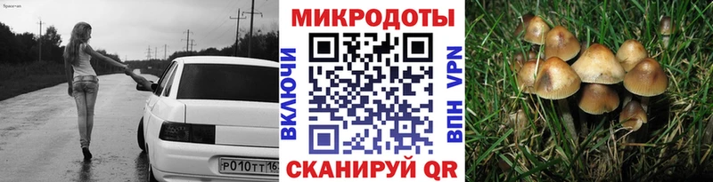 KRAKEN рабочий сайт  Верхняя Салда  Галлюциногенные грибы Psilocybine cubensis 